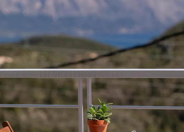 Margarita * Pinakokhorion